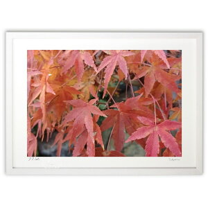 ŉ 11̏I̍gt (VBJ)CeA Ǌ| z i |X^[ A[g rO ւɏ  v[g _ A[gt[