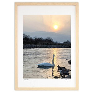 ŉ ̃VGbg (VՂ܂񂶂イ)CeA Ǌ| z i |X^[ A[g rO ւɏ  v[g _ A[gt[