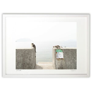 ŉ L ({ \i)CeA Ǌ| z i |X^[ A[g rO ւɏ  v[g _ A[gt[