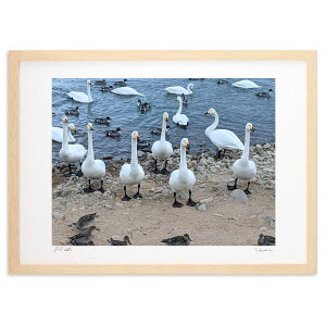 ŉ I (VՂ܂񂶂イ)CeA Ǌ| z i |X^[ A[g rO ւɏ  v[g _ A[gt[