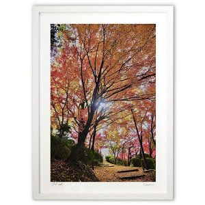 ŉ gt (mitan)CeA Ǌ| z i |X^[ A[g rO ւɏ  v[g _ A[gt[