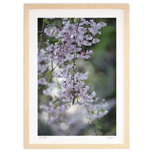 ŉ } (AJVNU)CeA Ǌ| z i |X^[ A[g rO ւɏ  v[g _ A[gt[