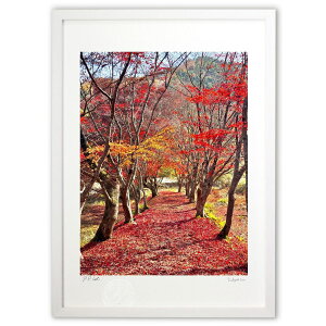 ŉ gtO~ ({ \i)CeA Ǌ| z i |X^[ A[g rO ւɏ  v[g _ A[gt[