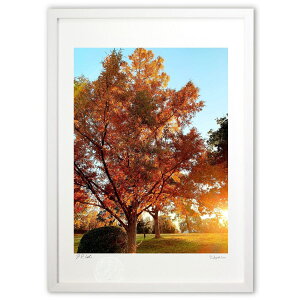 ŉ ̍gt (I[h pvL)CeA Ǌ| z i |X^[ A[g rO ւɏ  v[g _ A[gt[