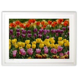 ŉ ̉Ԕ (bluewoods07)CeA Ǌ| z i |X^[ A[g rO ւɏ  v[g _ A[gt[