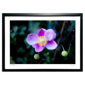 �ŉ� �H���e (���쌛)�C���e���A �Ǌ|�� �z���� ���i�� �|�X�^�[ �A�[�g ���r���O ���ւɏ��� ���� �v���[���g ���_�� �A�[�g�t���[��