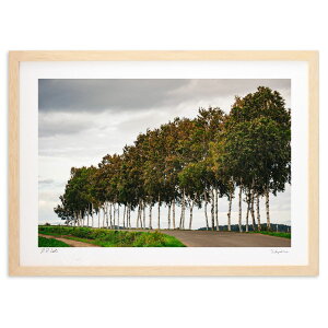 ŉ  (100 Cubic Inch)CeA Ǌ| z i |X^[ A[g rO ւɏ  v[g _ A[gt[