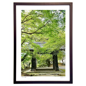 ŉ gtƍ2 (mitan)CeA Ǌ| z i |X^[ A[g rO ւɏ  v[g _ A[gt[