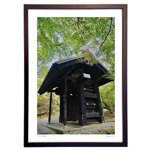 ŉ gtƍ (mitan)CeA Ǌ| z i |X^[ A[g rO ւɏ  v[g _ A[gt[