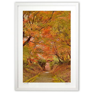 ŉ Βiƍgt3 (mitan)CeA Ǌ| z i |X^[ A[g rO ւɏ  v[g _ A[gt[