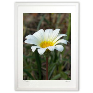 ŉ ւ̉ (w)CeA Ǌ| z i |X^[ A[g rO ւɏ  v[g _ A[gt[