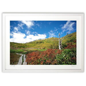 ŉ ̎U (ramble)CeA Ǌ| z i |X^[ A[g rO ւɏ  v[g _ A[gt[