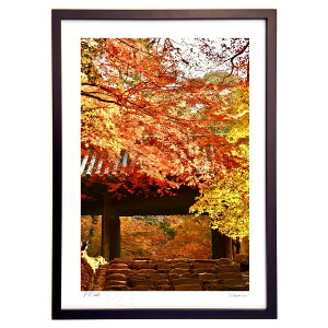 ŉ gtƍ3 (mitan)CeA Ǌ| z i |X^[ A[g rO ւɏ  v[g _ A[gt[