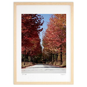 ŉ ؓ (I{)CeA Ǌ| z i |X^[ A[g rO ւɏ  v[g _ A[gt[