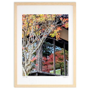 ŉ KX̃tNV (VՂ܂񂶂イ)