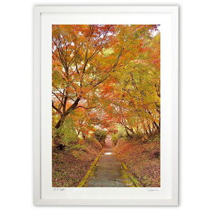 ŉ Βiƍgt2 (mitan)CeA Ǌ| z i |X^[ A[g rO ւɏ  v[g _ A[gt[