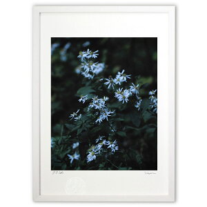 ŉ 閾ɍ炭 (Agura)CeA Ǌ| z i |X^[ A[g rO ւɏ  v[g _ A[gt[