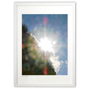 ŉ ˂̃p[ ({ )CeA Ǌ| z i |X^[ A[g rO ւɏ  v[g _ A[gt[