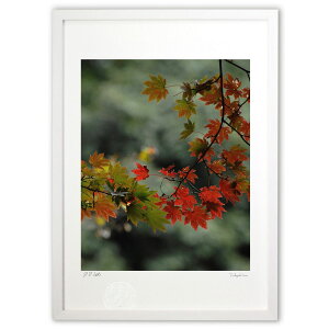 ŉ gt̎q (Agura)CeA Ǌ| z i |X^[ A[g rO ւɏ  v[g _ A[gt[