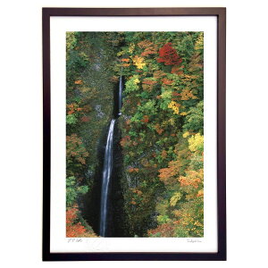 �ŉ� �g�t�̑� (�x���r�A)�C���e���A �Ǌ|�� �z���� ���i�� �|�X�^�[ �A�[�g ���r���O ���ւɏ��� ���� �v���[���g ���_�� �A�[�g�t���[��