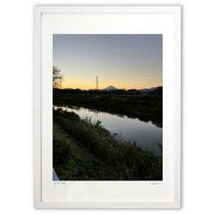 �ŉ� �[���̕x�m�R (tarcois)�C���e���A �Ǌ|�� �z���� ���i�� �|�X�^�[ �A�[�g ���r���O ���ւɏ��� ���� �v���[���g ���_�� �A�[�g�t���[��