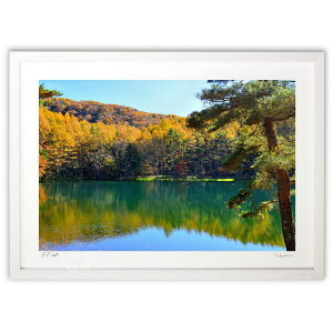 �ŉ� �M�B�@��ˎ��r�̍g�t (YKANEKO)�C���e���A �Ǌ|�� �z���� ���i�� �|�X�^�[ �A�[�g ���r���O ���ւɏ��� ���� �v���[���g ���_�� �A�[�g�t���[��