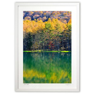 �ŉ� �M�B�@��ˎ��r�̍g�t (YKANEKO)�C���e���A �Ǌ|�� �z���� ���i�� �|�X�^�[ �A�[�g ���r���O ���ւɏ��� ���� �v���[���g ���_�� �A�[�g�t���[��