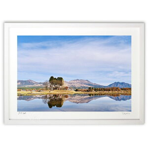 �ŉ� ���� (mitan)�C���e���A �Ǌ|�� �z���� ���i�� �|�X�^�[ �A�[�g ���r���O ���ւɏ��� ���� �v���[���g ���_�� �A�[�g�t���[��