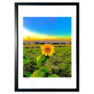 �ŉ� �C���������� (�킩�����)�C���e���A �Ǌ|�� �z���� ���i�� �|�X�^�[ �A�[�g ���r���O ���ւɏ��� ���� �v���[���g ���_�� �A�[�g�t���[��