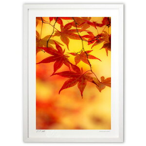 �ŉ� �g�_�ȏƍg�t (bluewoods07)�C���e���A �Ǌ|�� �z���� ���i�� �|�X�^�[ �A�[�g ���r���O ���ւɏ��� ���� �v���[���g ���_�� �A�[�g�t���[��