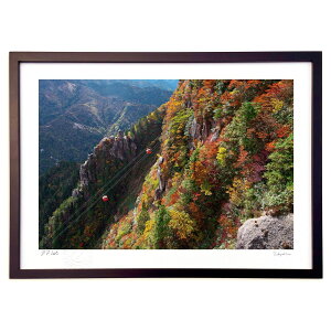 �ŉ� ���j�R�x�g�t�̕��i (ramble)�C���e���A �Ǌ|�� �z���� ���i�� �|�X�^�[ �A�[�g ���r���O ���ւɏ��� ���� �v���[���g ���_�� �A�[�g�t���[��