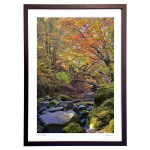 �ŉ� �k�J�̍g�t (mitan)�C���e���A �Ǌ|�� �z���� ���i�� �|�X�^�[ �A�[�g ���r���O ���ւɏ��� ���� �v���[���g ���_�� �A�[�g�t���[��