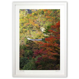 �ŉ� �g�t�� (mitan)�C���e���A �Ǌ|�� �z���� ���i�� �|�X�^�[ �A�[�g ���r���O ���ւɏ��� ���� �v���[���g ���_�� �A�[�g�t���[��