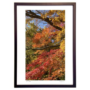 �ŉ� �g�t��� (mitan)�C���e���A �Ǌ|�� �z���� ���i�� �|�X�^�[ �A�[�g ���r���O ���ւɏ��� ���� �v���[���g ���_�� �A�[�g�t���[��