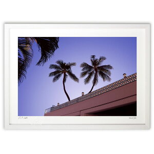 �ŉ� Twin Palm Trees (����΂� �䂤��)