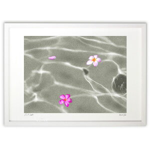 �ŉ� �g�Ԃ̃v�������A (����΂� �䂤��)�C���e���A �Ǌ|�� �z���� ���i�� �|�X�^�[ �A�[�g ���r���O ���ւɏ��� ���� �v���[���g ���_�� �A�[�g�t���[��