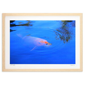 �ŉ� �g�t��� (�Ƃ��肫)�C���e���A �Ǌ|�� �z���� ���i�� �|�X�^�[ �A�[�g ���r���O ���ւɏ��� ���� �v���[���g ���_�� �A�[�g�t���[��