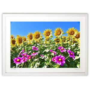 �ŉ� �Ђ܂��ƃR�X���X2 (mitan)�C���e���A �Ǌ|�� �z���� ���i�� �|�X�^�[ �A�[�g ���r���O ���ւɏ��� ���� �v���[���g ���_�� �A�[�g�t���[��