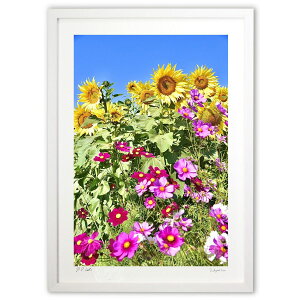 �ŉ� �Ђ܂��ƃR�X���X4 (mitan)�C���e���A �Ǌ|�� �z���� ���i�� �|�X�^�[ �A�[�g ���r���O ���ւɏ��� ���� �v���[���g ���_�� �A�[�g�t���[��