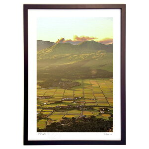 �ŉ� ���h����̒� (mitan)�C���e���A �Ǌ|�� �z���� ���i�� �|�X�^�[ �A�[�g ���r���O ���ւɏ��� ���� �v���[���g ���_�� �A�[�g�t���[��