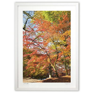 �ŉ� �Y��g�t (mitan)�C���e���A �Ǌ|�� �z���� ���i�� �|�X�^�[ �A�[�g ���r���O ���ւɏ��� ���� �v���[���g ���_�� �A�[�g�t���[��