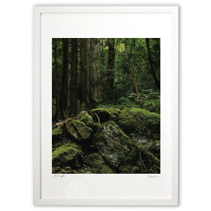 �ŉ� �ې����[���X (Agura)�C���e���A �Ǌ|�� �z���� ���i�� �|�X�^�[ �A�[�g ���r���O ���ւɏ��� ���� �v���[���g ���_�� �A�[�g�t���[��