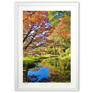 �ŉ� �g�t�̐X (mitan)�C���e���A �Ǌ|�� �z���� ���i�� �|�X�^�[ �A�[�g ���r���O ���ւɏ��� ���� �v���[���g ���_�� �A�[�g�t���[��