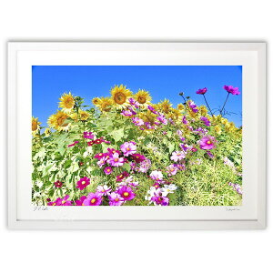 �ŉ� �Ђ܂��ƃR�X���X (mitan)�C���e���A �Ǌ|�� �z���� ���i�� �|�X�^�[ �A�[�g ���r���O ���ւɏ��� ���� �v���[���g ���_�� �A�[�g�t���[��