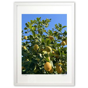 �ŉ� �E�G�̖� (tarcois)�C���e���A �Ǌ|�� �z���� ���i�� �|�X�^�[ �A�[�g ���r���O ���ւɏ��� ���� �v���[���g ���_�� �A�[�g�t���[��