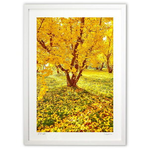 �ŉ� �H���O�~ (mitan)�C���e���A �Ǌ|�� �z���� ���i�� �|�X�^�[ �A�[�g ���r���O ���ւɏ��� ���� �v���[���g ���_�� �A�[�g�t���[��