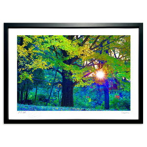 �ŉ� ��ǂ̖؂Ɨ[��� (���쌛)�C���e���A �Ǌ|�� �z���� ���i�� �|�X�^�[ �A�[�g ���r���O ���ւɏ��� ���� �v���[���g ���_�� �A�[�g�t���[��