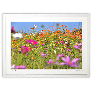 �ŉ� ���т₩�ȃR�X���X3 (mitan)�C���e���A �Ǌ|�� �z���� ���i�� �|�X�^�[ �A�[�g ���r���O ���ւɏ��� ���� �v���[���g ���_�� �A�[�g�t���[��