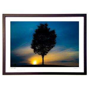 �ŉ� �ʐ^�@��{�̖� PM6�F30 (���쌛)�C���e���A �Ǌ|�� �z���� ���i�� �|�X�^�[ �A�[�g ���r���O ���ւɏ��� ���� �v���[���g ���_�� �A�[�g�t���[��