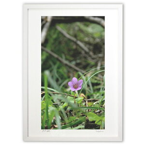 �ŉ� ��əz�ƍ炭 (Agura)�C���e���A �Ǌ|�� �z���� ���i�� �|�X�^�[ �A�[�g ���r���O ���ւɏ��� ���� �v���[���g ���_�� �A�[�g�t���[��